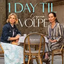 《狐狸女士 第二季》：职场如战场，看腹黑女主如何玩转权力游戏！