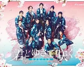 《与你一起绽放 新选组青春录》：热血青春与时代洪流的交织